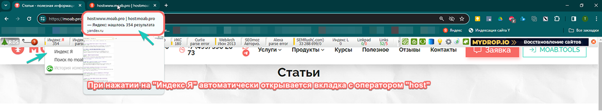 Браузерное расширение RDS Bar Браузерное расширение RDS Bar
