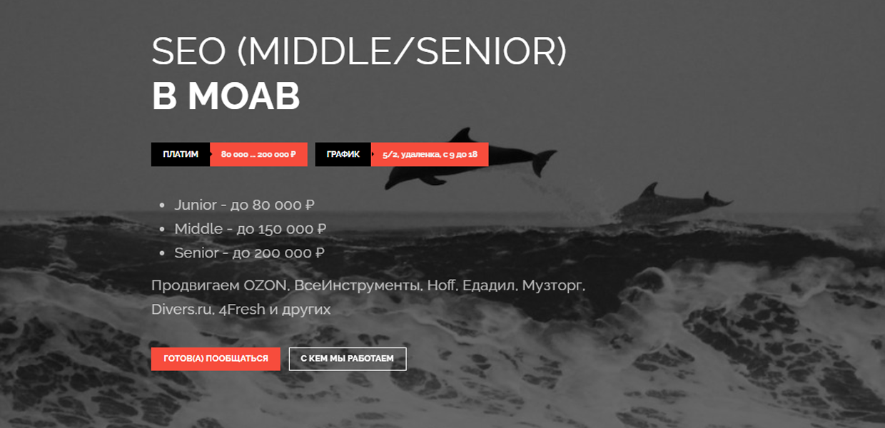 SEO (Middle/Senior) в MOAB